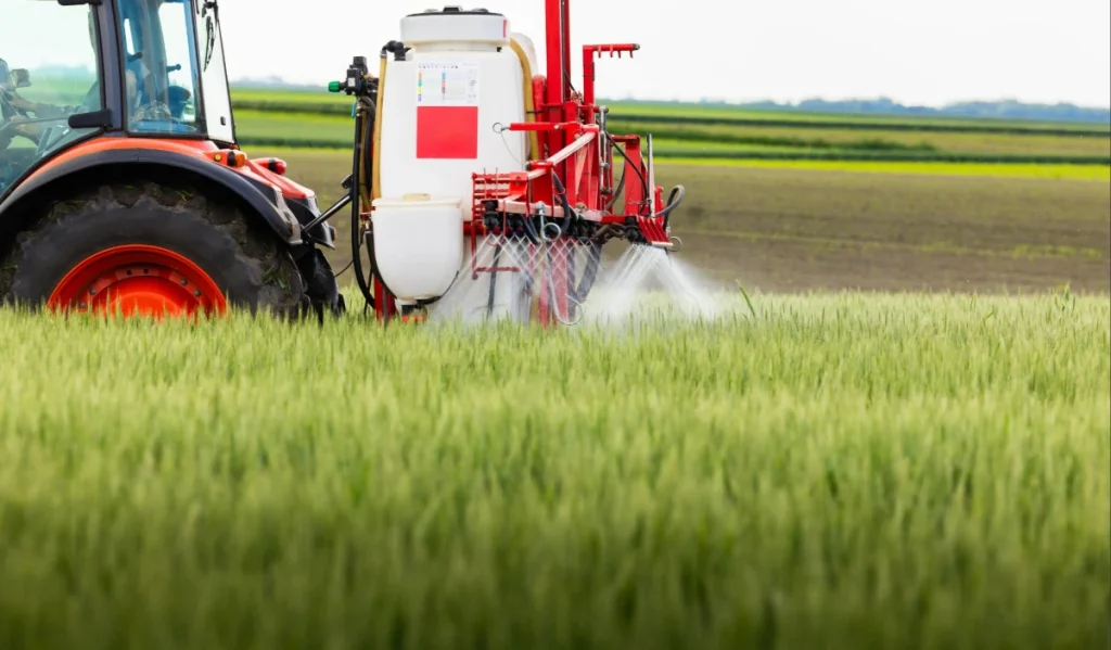 Máquina aplicando fertilizante foliar em lavoura de cereal.