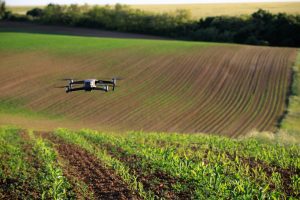 Confira as tendências da IA no agro