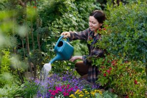 Confira o que você precisa saber sobre regar plantas no inverno