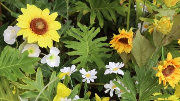 Arranjo colorido de flores com girassóis, margaridas e folhas verdes, formando uma composição vibrante e harmoniosa sobre fundo claro. 