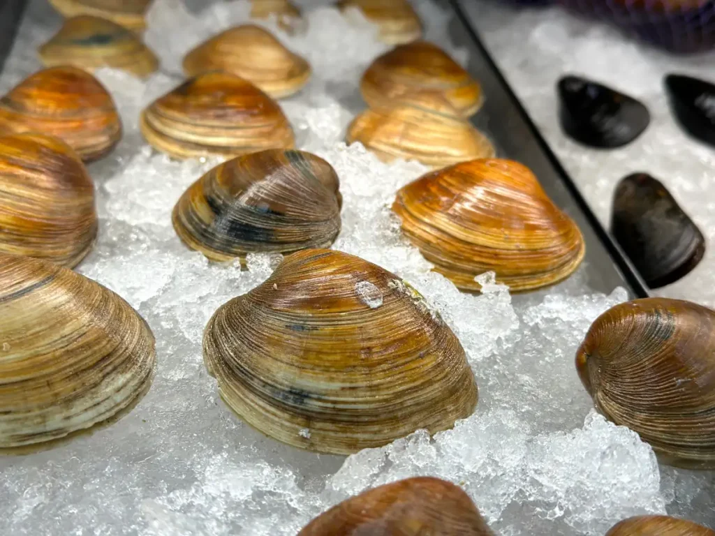  Ostras e mexilhões expostos sobre gelo.