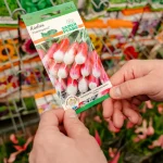 O que plantar no outono Conheca opcoes para colher qualidade